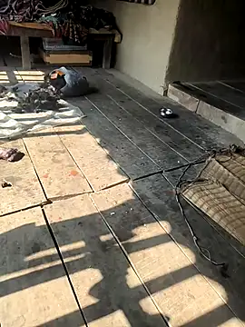 sujase online show from 16, 1, 2026