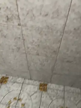 Kalisto2026 online show from 6, 3, 2026