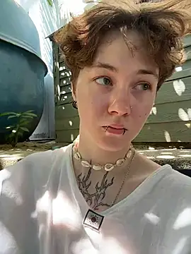 IceMur online show from 2, 3, 2026