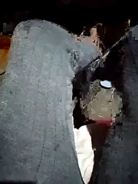 xx couple online show from 4, 2, 2026