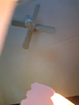 dewimp1 online show from 3, 2, 2026