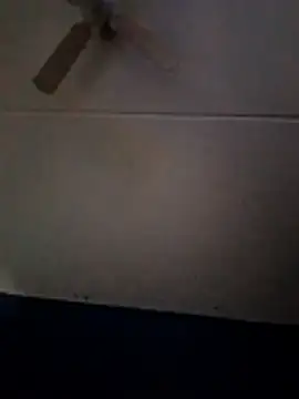 dewimp1 online show from 1, 2, 2026