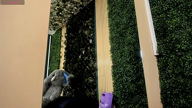 AmberAddamss online show from 22, 2, 2026