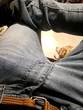 MRdxxx444 online show from 7, 3, 2026