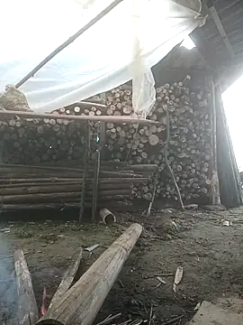 cutebobi online show from 3, 2, 2026