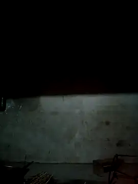 cutebobi online show from 12, 2, 2026