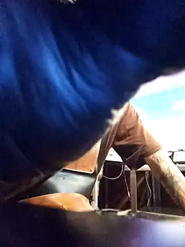 blackninja66 online show from 13, 3, 2026