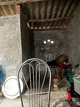 Nuna 689 online show from 3, 4, 2026