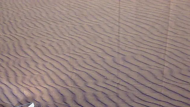 BusyB1983 online show from 20, 3, 2026