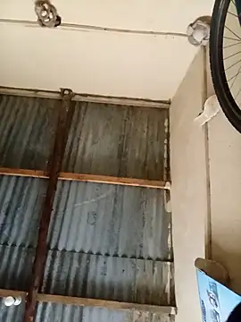 Blueberry23cupcake online show from 3, 2, 2026