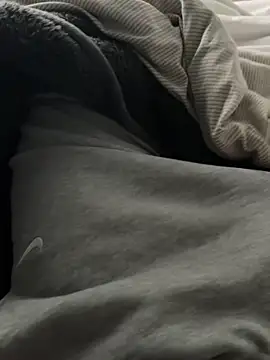 Prinz18cm online show from 19, 2, 2026