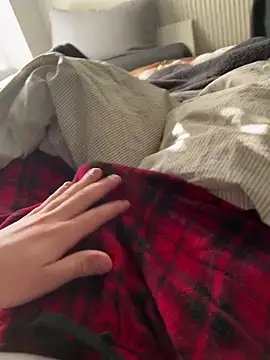 Prinz18cm online show from 26, 2, 2026