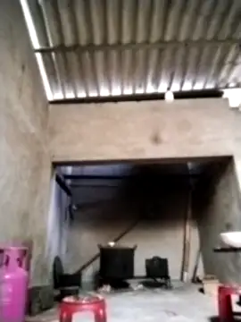 kussecka online show from 11, 4, 2026