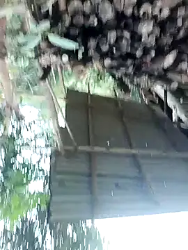 meomeo30 online show from 11, 2, 2026