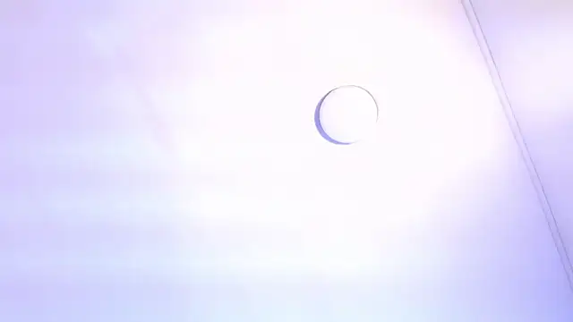 TINY TAY online show from 11, 2, 2026