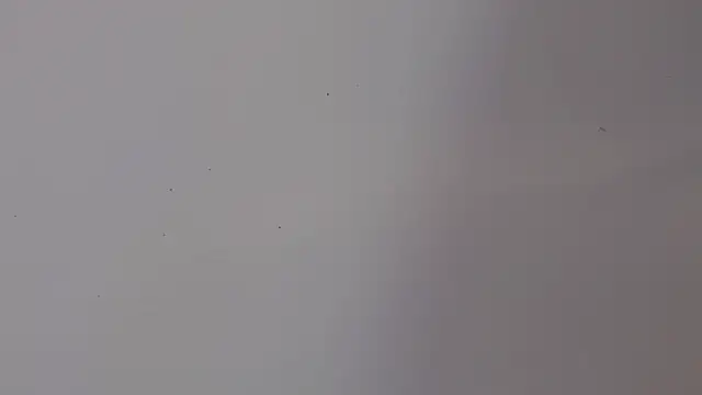 Snapshot of adara_cute_69 chatting on 5, 2, 2026 adara cute 69 online show from 5, 2, 2026