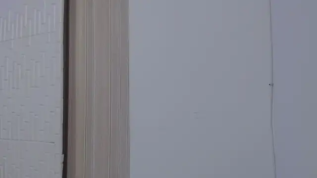 adara cute 69 online show from 4, 3, 2026