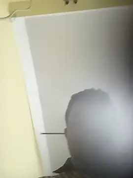 Snapshot of deshilnd chatting on 2, 4, 2026 deshilnd online show from 2, 4, 2026