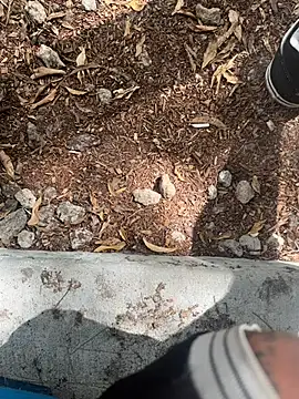 Snapshot of tyd247 chatting on 22, 2, 2026 tyd247 online show from 22, 2, 2026