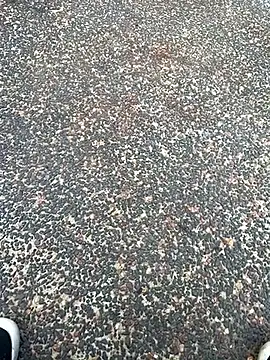 Snapshot of tyd247 chatting on 22, 2, 2026 tyd247 online show from 22, 2, 2026