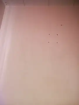  aish a online show from 19, 3, 2026