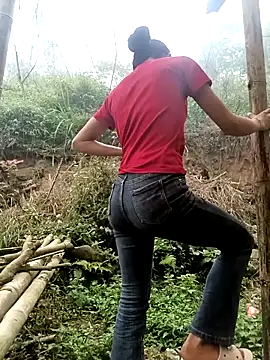 Hoa-tuylip online show from 24, 3, 2026