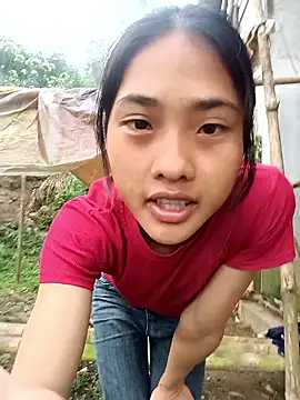 Hoa-tuylip online show from 27, 3, 2026