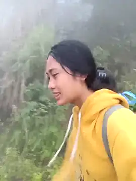 Hoa-tuylip online show from 6, 3, 2026