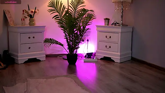 KassidyVibe online show from 11, 2, 2026