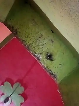 Riyakumari hot66 online show from 5, 4, 2026