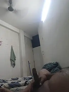 GTX-8194 online show from 7, 3, 2026