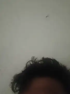 GTX-8194 online show from 27, 3, 2026