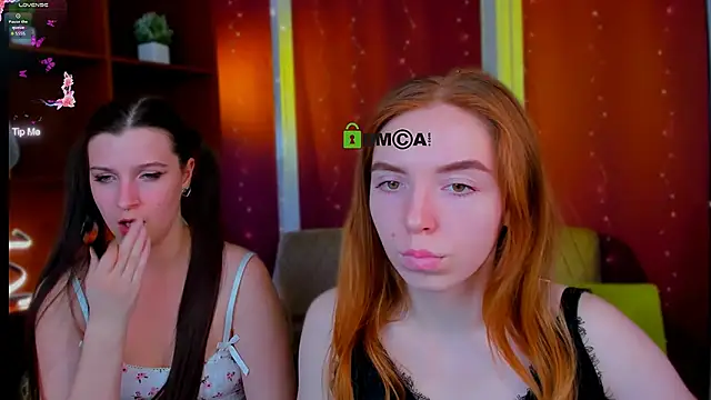 stella flower online show from 4, 4, 2026