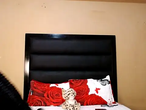 Snapshot of AppleAsss chatting on 11, 2, 2026 AppleAsss online show from 11, 2, 2026