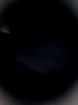 Bengal Tiger420 online show from 24, 2, 2026