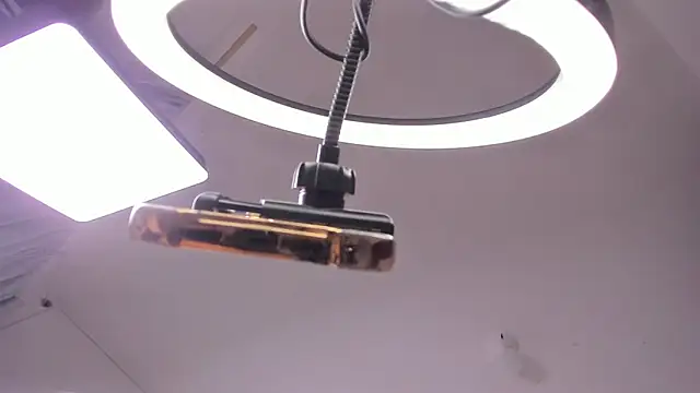 Nia13 online show from 2, 3, 2026