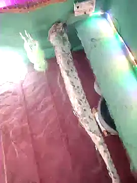 bhavna pandit online show from 17, 4, 2026