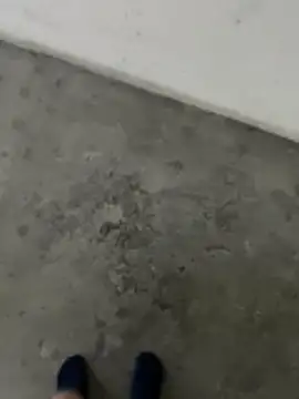 Snapshot of Wvpppp chatting on 24, 2, 2026 Wvpppp online show from 24, 2, 2026