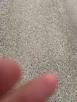 magicdickx21 online show from 15, 3, 2026