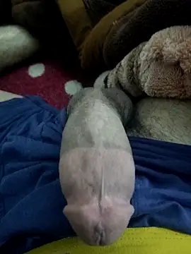 amirMohamed58 online show from 23, 2, 2026