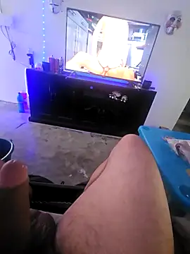 Elpnzaurio online show from 17, 2, 2026