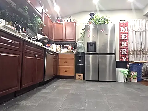 bischo666 online show from 24, 2, 2026