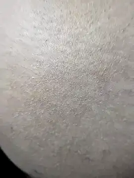 Romantic-Couple999 online show from 7, 4, 2026