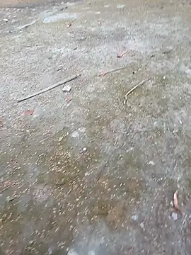 andresj22hot online show from 7, 4, 2026