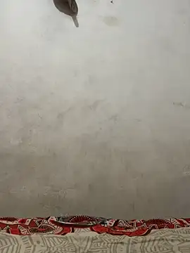 dominick fran online show from 10, 3, 2026