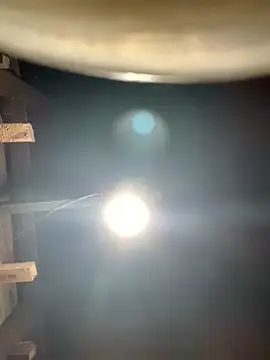 ngoccc-nga online show from 1, 3, 2026