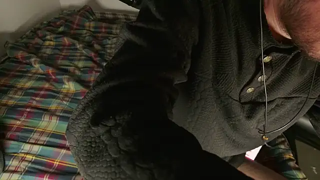 Begamc online show from 20, 3, 2026