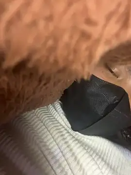 Violin xue online show from 14, 2, 2026