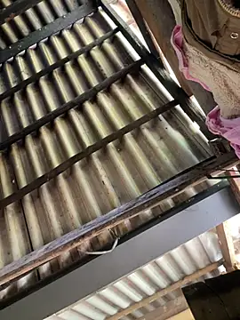 bikhidj online show from 8, 4, 2026