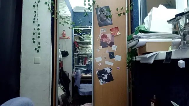 PhoebePalmer online show from 28, 3, 2026